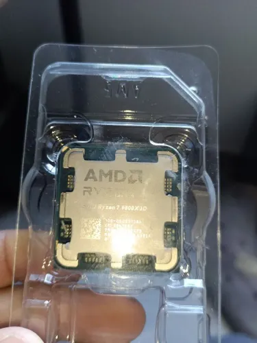 Ryzen 9 9800x3d com defeito.