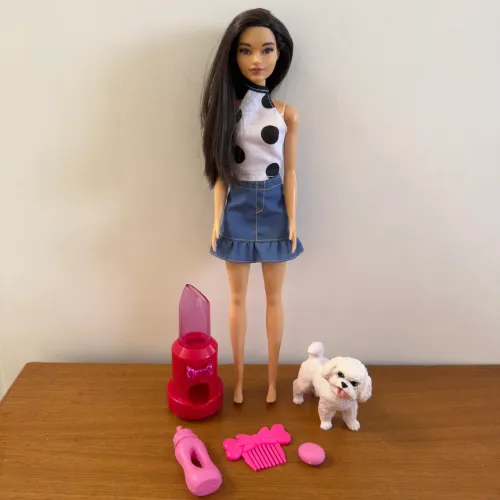 Barbie Asiática com Acessórios