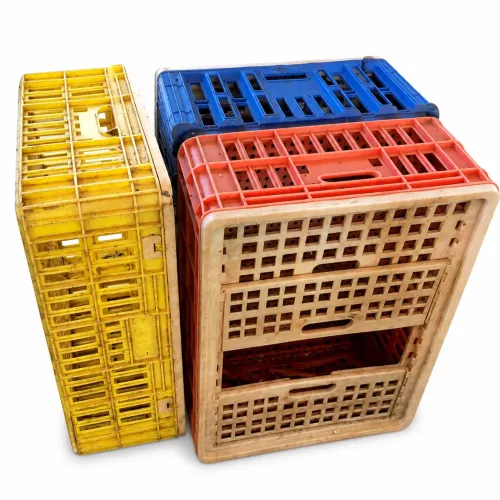 Caixa Transportadora para Galinhas/Aves