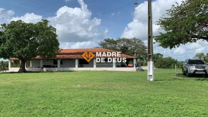 Fazenda Monumental em São Luiz do Curu | 104,7 Hectares | Margem e Irrigação Direta