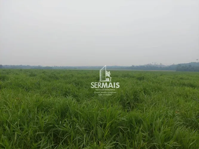 Fazenda à venda, 2541000 m² por R$ 8.000.000,00 - Área Rural - Alto Paraíso/RO