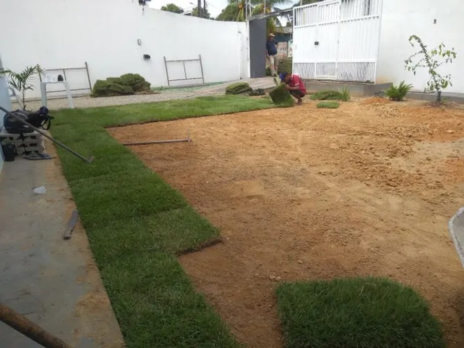 Plantação de Gramado 