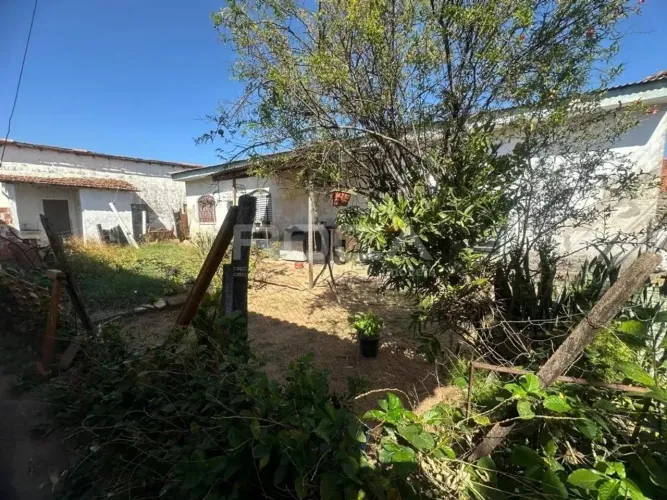 Casa à venda na Vila Izabel, São Carlos - 3 dormitórios, 2 suítes e 3 garagens!