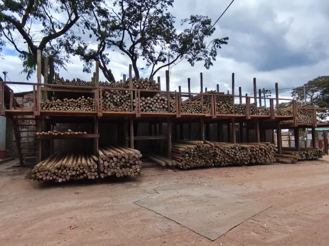 Eucalipto tratado roliço  - Diversos Tamanhos