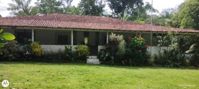 Moura Gestor Imobiliario Vende Chacara em Santa Barbara com 3.000 pés de Açai em Produção