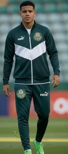 CONJUNTO AGASALHO  PALMEIRAS ADULTO 