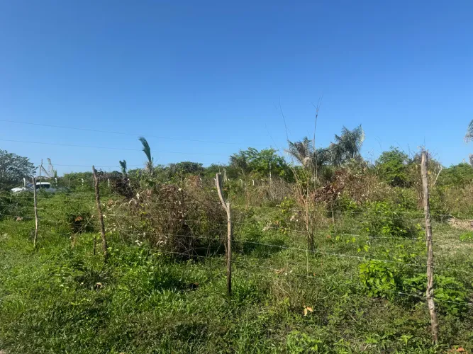 Terreno Panaquatira próximo à praia