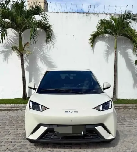 BYD Dolphin Mini (Elétrico) 2024