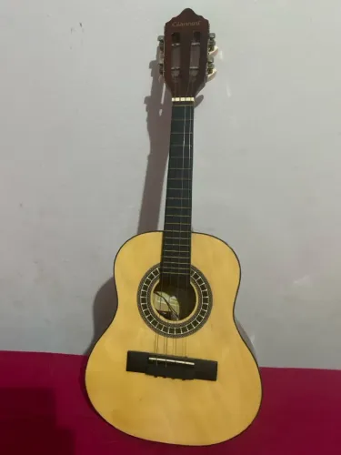 Cavaquinho Giannini