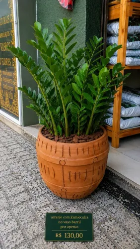 Arranjos naturais em vasos de barro