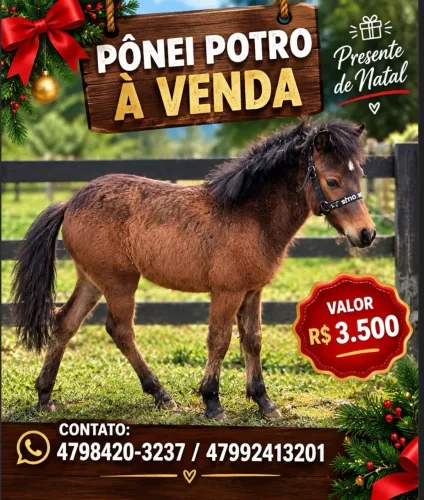 Venda