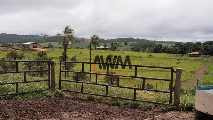 Fazenda à venda, 726000 m² por R$ 7.500.000,00 - Setor Leste - Anicuns/GO