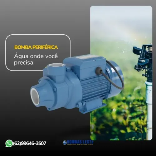 BOMBA PERIFERICA 220V