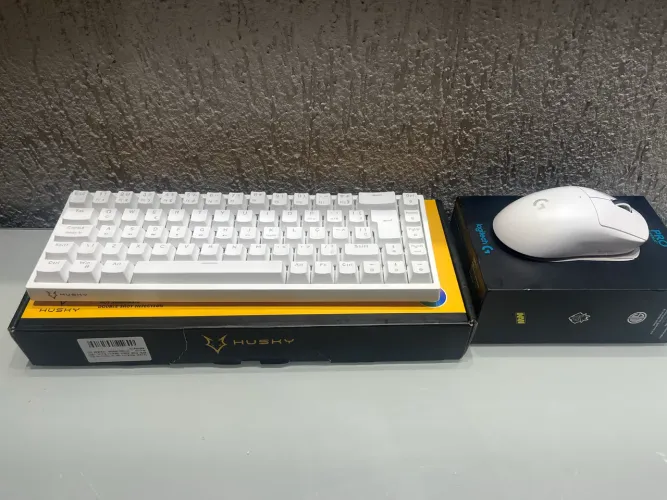 vendo mouse logitech g pro superligth e teclado husky blizzard