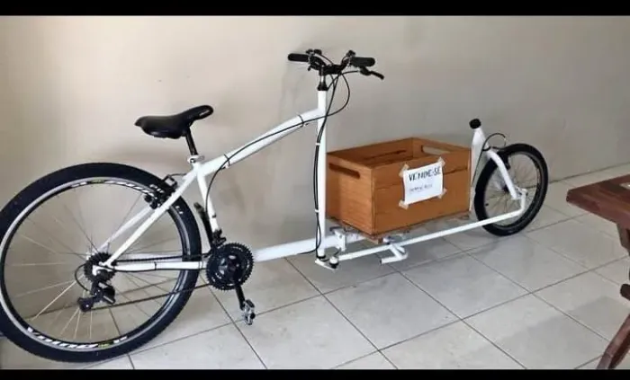 Cargo bike Long Jonh aro 29.
