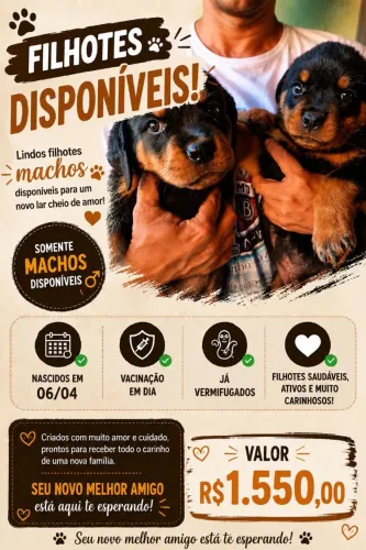 Venda de cães 