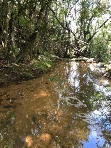 Excelente Chácara à venda, 5000 m² por R$ 140.000 - Bonanza - Santa Luzia/MG