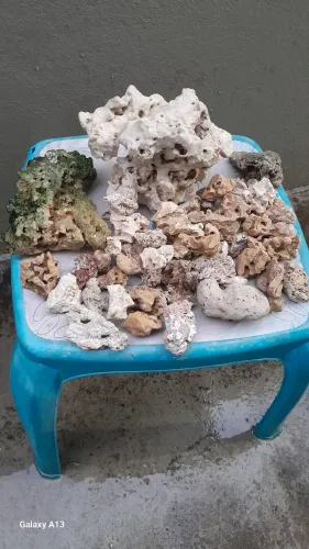 Rochas aquario marinho