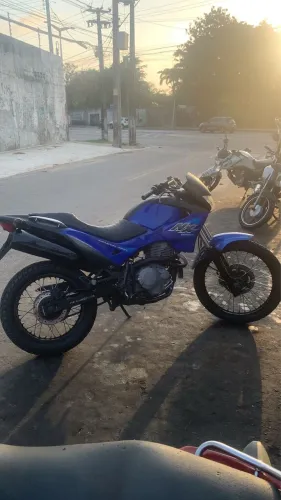 Falcon NX