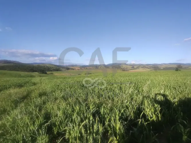 Fazenda à venda, 1403600 m² por R$ 15.000.000,00 - Area Rural - Itapira/SP