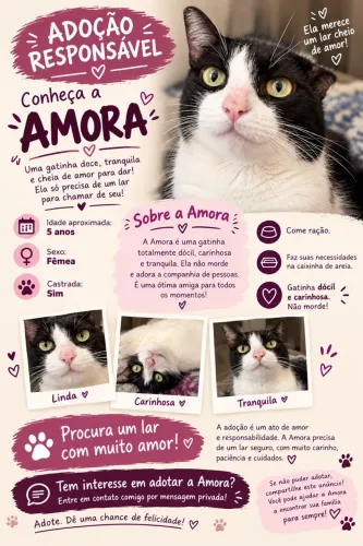 Adoção responsável dessa gatinha! 