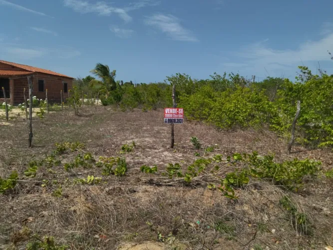 Terreno 12x50 em Muriti Paracuru