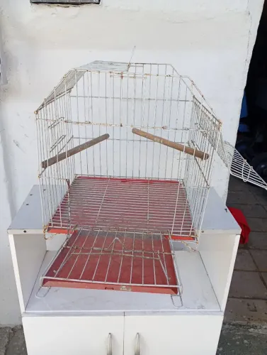 Gaiola para calopsitas