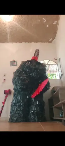 Fantasia de carnaval