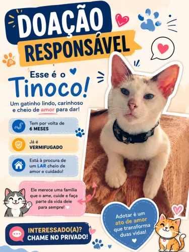 Doações Patudinhos