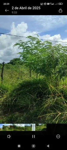 Terreno no Loteamento Nova Canaã