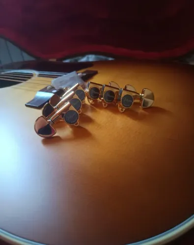 Takamine tarraxas Gold japonês 