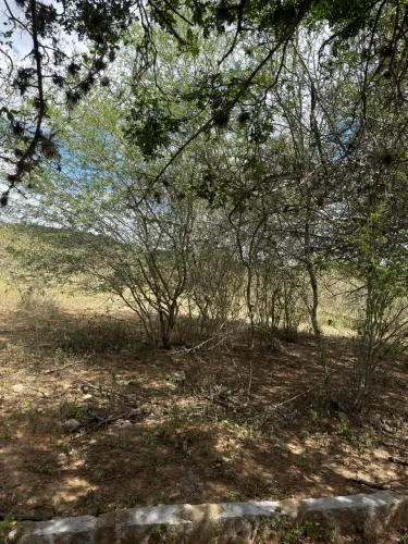 Terreno em cachoeira seca 10 min de Caruaru