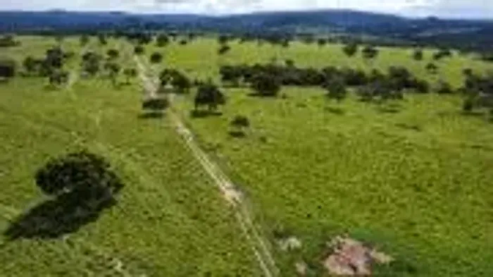 Imóvel para venda tem 1465 metros quadrados em Centro - Alto Araguaia - MT