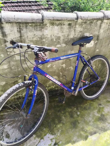 Vendo Bike de Marcha Conquest,21 marchas aro 29