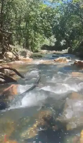 Chácaras de 1 a 3 Alqueires em Cocalzinho de Goiás  Terra Dupla Aptidão com Rio