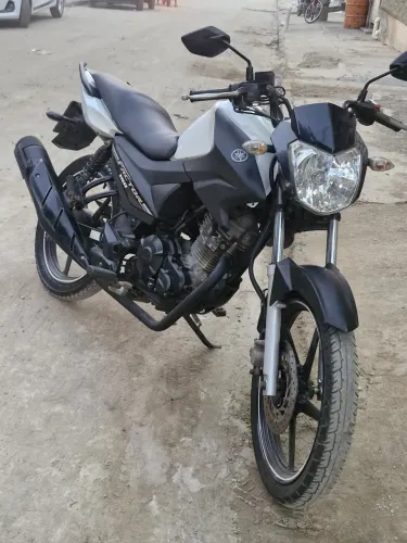 Factor 150 2019