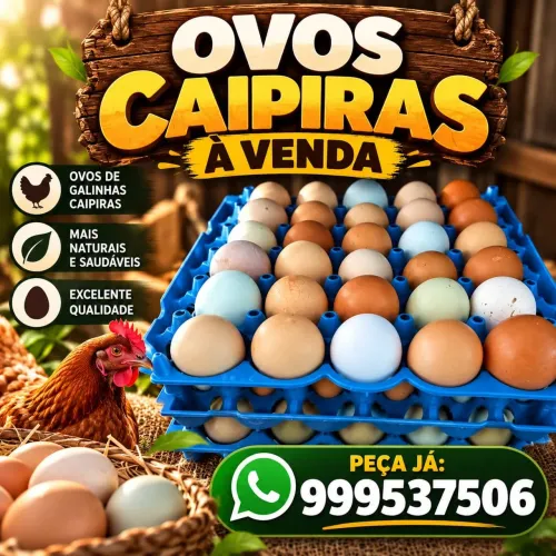 Para a venda ovos caipira galado pôr 15 reais a dúzia e para consumo 12.50