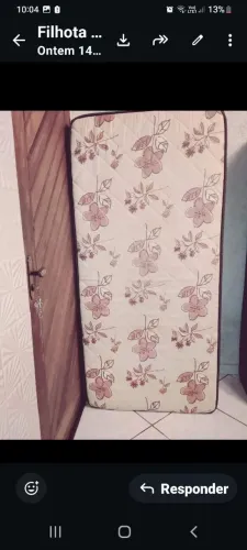 Cama box solteiro semi ortopédica 