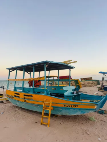 Barcos Jangada