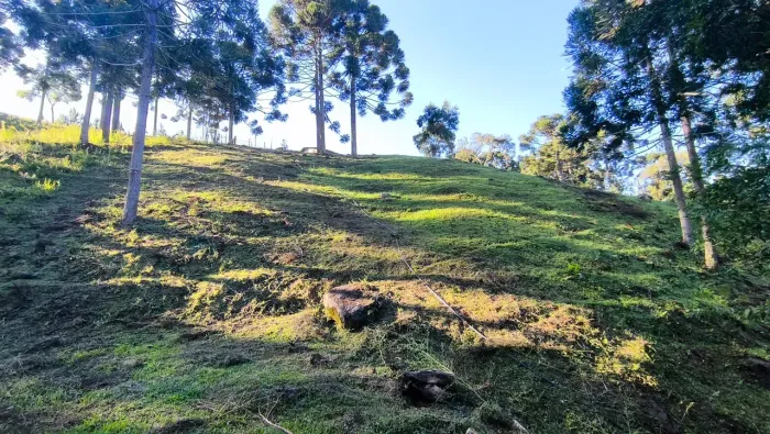 Imóvel para venda possui 29271 metros quadrados com 5 quartos em Área Rural - Rio Branco d