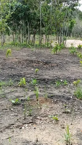 Terreno na barragem santa Helena 