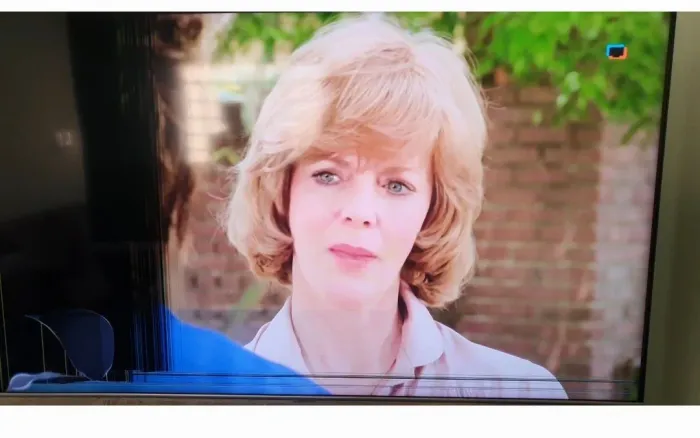 ( Analiso oferta ) - TV Samsung 55 para retirada de peças