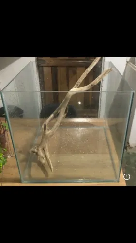 Aqaurio