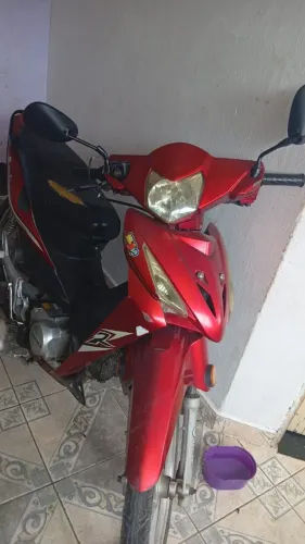 Vendo fênix