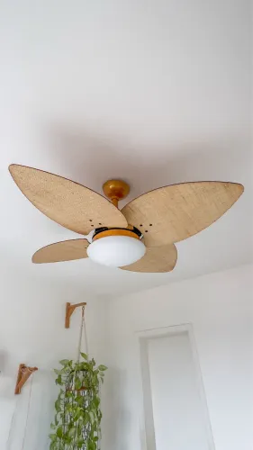 Lindo ventilador de teto Ventax