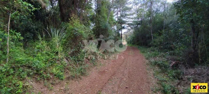 SÍTIO / CHÁCARA PARA VENDA EM NOVA PETRÓPOLIS / RS NO BAIRRO LINHA IMPERIAL