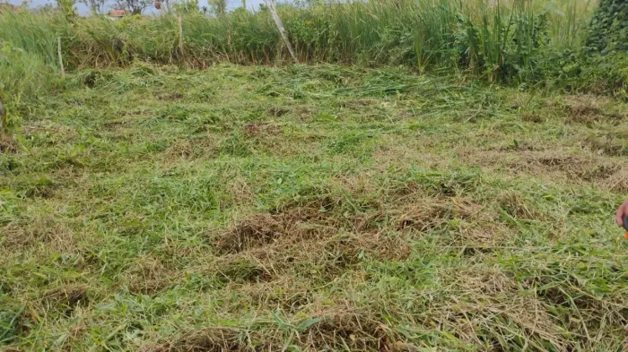 Vendo terreno 10/25 no Suarão, lado morro 5 minutos da Rodovia e 10 min da Praia!!