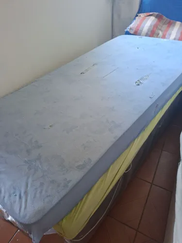 Cama
