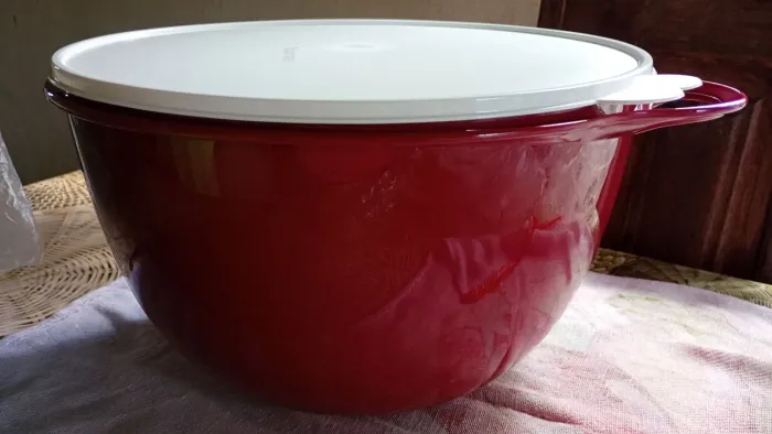 Tupperware de 10 e 14 litros
