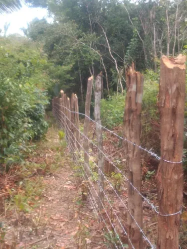 Vendo Terreno no Povoado São Francisco,Cacimba Velha